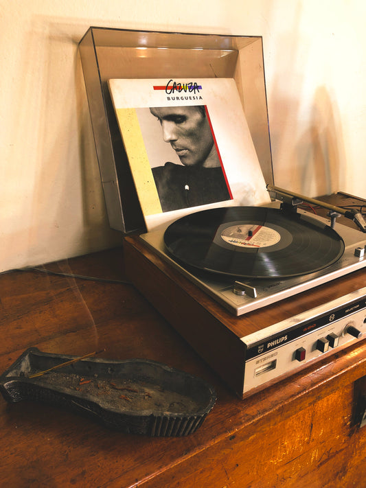 Understanding The Vinyl Records' Lifespan and How to Extend It